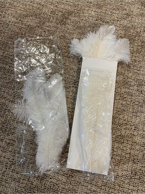 White Ostrich Feather Plumes - Set of Decorative Feathers